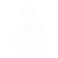 Zoliê Semijoias